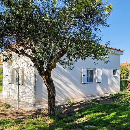 Cozy Owl'S Studio Home Pírgos Exterior foto